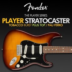 Fender 펜더 플레이어 스트라토캐스터 플러스 탑(PLAYER STRATOCASTER PLUS TOP PF TBS), 파우페로 / TOBACCO BURST, 지판 / 색상