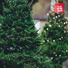 이케아크리스마스