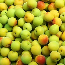 광양 햇 청매실 황매실, 1개, 황매실 특 5kg