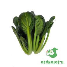 야채이야기 싱싱한 비타민 2kg (1.8kg - 2kg) 다채, 1박스