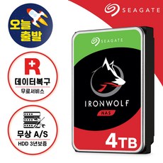 [ 씨게이트 공식스토어 ] 아이언울프 나스 하드디스크 Ironwolf NAS HDD 기업용 하드디스크, 4TB (4테라바이트) - 씨게이트아이언울프