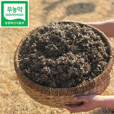 강화약쑥마당 무농약 3년숙성 강화 사자발쑥 건쑥 300g 쑥차, 1개