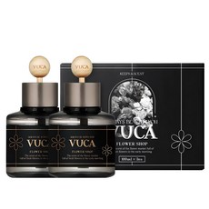 뷰카 센트 클래식 차량용 디퓨저 100ml, 플라워샵, 2개 플라워샵, 1세트