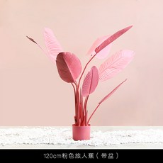 a3fadc335f7321b7517e8b1f627a229d99648ddb937cb6bd06aa7afbb0d5.jpg