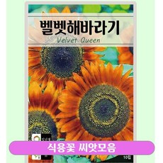 식용꽃 씨앗 140여종 모음/팬지 한련화 스토크 메리골드 천일홍 등