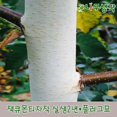 38f9a681c47dc48c29971500e72e449c78cd810cb4ff0820d139fe57e911.jpg