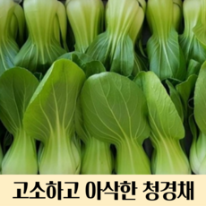 국내산 청경채 4kg 8kg 12kg 청경채 국내산 청경채 국산 청경채 싱싱한청경채, 4kg(청경채), 1개