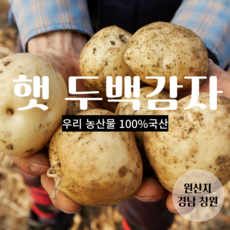 [무농약] 포슬포슬 두백감자 담백하고 맛있는 우리농산물 100%국내감자, 1개, 두백감자 L  3kg