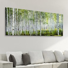 ch819-창문그림(싱그러운자작나무숲)