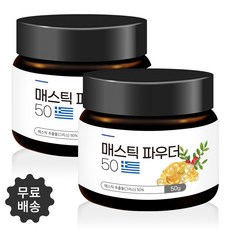 드림 매스틱가루 매스틱분말 가루 매스틱검50프로 그리스키오스산 매스틱추출가루, 2병, 50g