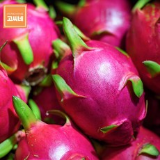 돌후룻컵람부탄