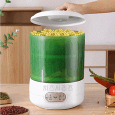 콩나물키우기1인용