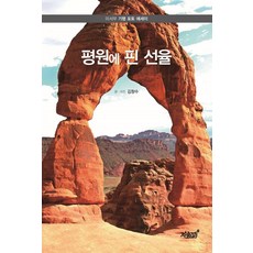 평원에 핀 선율:미서부 기행 포토 에세이, 지식과감성