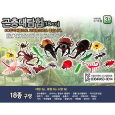 곤충 대탐험 18pcs/곤충 피규어 모형/학습 피규어