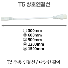 t5연결선