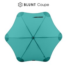 블런트우산