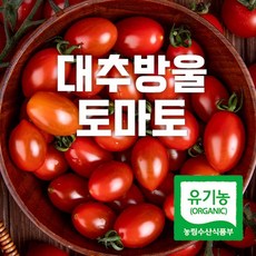 산지직송 당일수확 당일발송 유기농 대추 방울토마토 2kg 5kg, 1kg, 2개