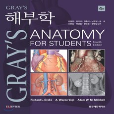 gray's해부학