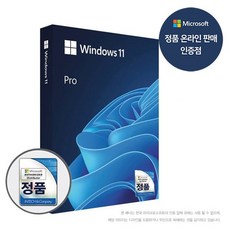 Windows 11 Pro FPP 정품USB 공인인증점