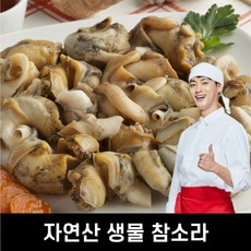 안면도소라
