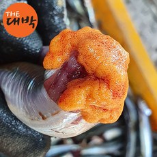 산지직송 반건조 양미리 구이, 2개, 20마리, 햇 반건조 양미리 한두름