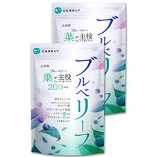 인씨네블루베리즙