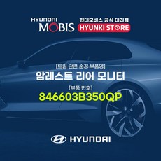 차량리어모니터