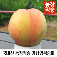 국내산 농장직송 가납암복숭아, 1개, 중과 1.25kg