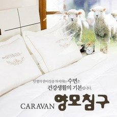 크리스피바바양모솜이불q1.5