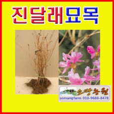bcf92f87ead84f73a53c20f0e8d655c79bbc3373eea62f59d2d6c913a37b.jpg