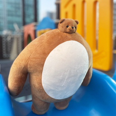 (당일배송) 소두 어깨깡패 곰돌이 인형 여사친 여친 선물 50cm