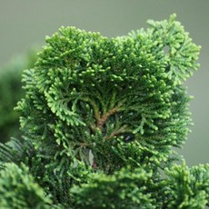 64d2691171d71238e7eccec23961719d4cef6933641fcd35bc537d2e9ff5.jpg