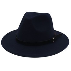 페도라c3