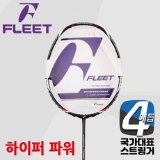 플리트하이퍼파워