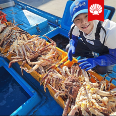 [새벽수산] 동해항 직수입사 특A급 러시아 킹크랩 100% 품질보증 당일발송, 1개, 4.5kg (2마리)