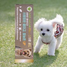 필루 네츄럴 외부기생충예방 스팟온 골드 대형견 3ml, 무색, 1개
