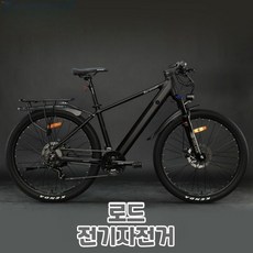 리튬 알루미늄 합금 전기자전거 출퇴근 배터리 로드 10Ah 레저 라이딩, 라이트 그린 (10AH 와이어 디스크) 27단