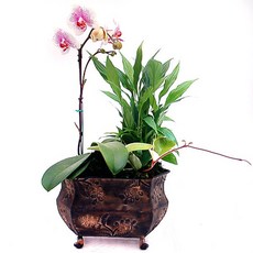 e7caf64177d2abee100e236f50fd17b8e3226c3e80b519e6a85721757da0.jpg