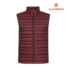 데이브경량구스