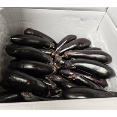 국산 신선 생가지 대용량식자재, 1박스, (특) 5kg 내외