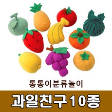 과일펠트모형