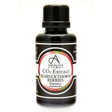 앱솔루트아로마