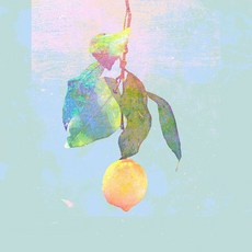 Yonezu Kenshi 요네즈 켄시 Lemon 레몬 앨범 CD DVD - 요네즈켄시lp