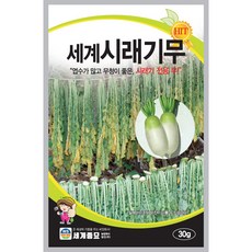 무청 시래기 씨앗 30g 시래기 전용 무 시래기용 무우 씨종자