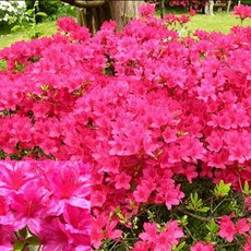 97fd80ccdcb03ab6bd0adcdc2df2acbda01addb934a160e7db6071f869b4.jpg