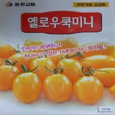 [가람종묘사] 옐로우쿡미니방울토마토 씨앗(노랑대추방울 토마토 단맛이 풍부하고 착과수가 많은 품종)