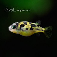 582df5fe21ca8da65adc20ab82511c2853eebe1d6f00c9b904d522650b34.jpg