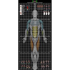 자세평가블라인드