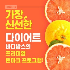 프리미엄 1주 덴마크 다이어트 프로그램