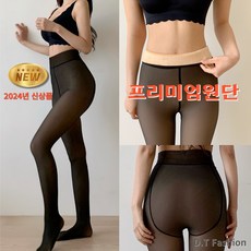 DT패션 기모 착시 스타킹 시스루 팬티 고탄력 압박